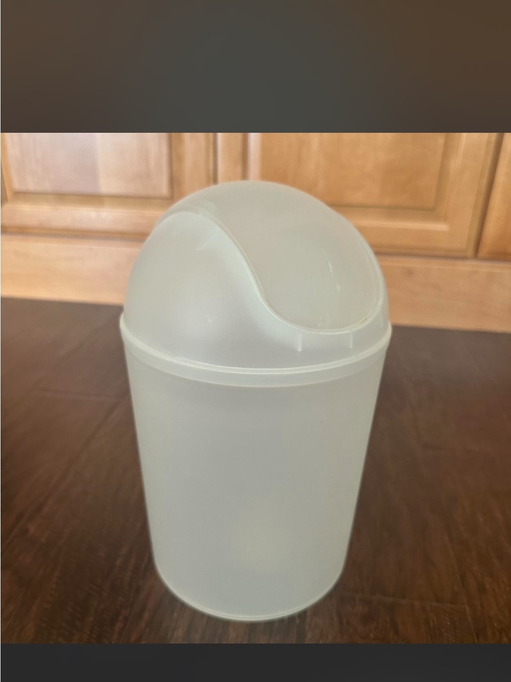 Target transparent Swing-Top Trash Can